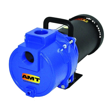 Amt Pump 1.5-in. Cast Iron Electric Booster Pump w/ 3HP 3PH TEFC 379L-95